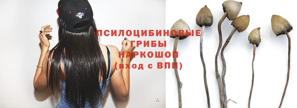 гидропоника Алзамай