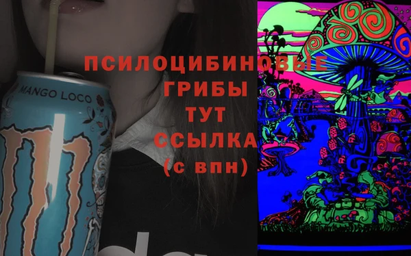 гидропоника Алзамай