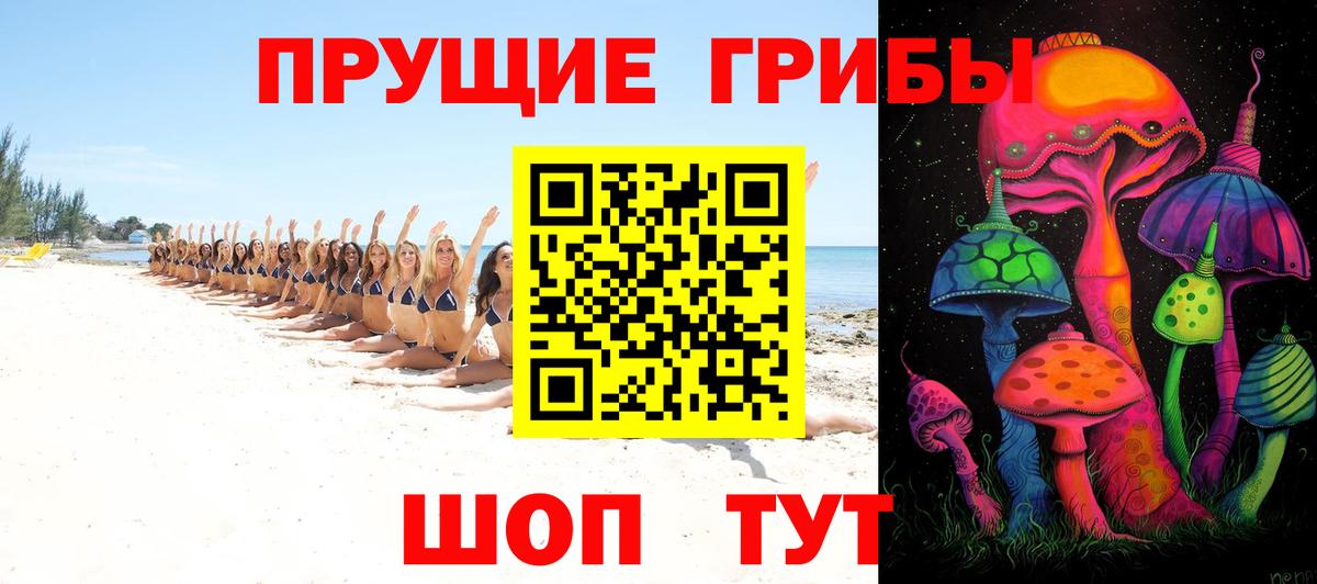 Псилоцибиновые грибы Psilocybe  Вход с VPN  Югорск 
